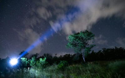 Flashlights using an XHP90.2 LED bulb