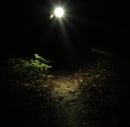 The Ultimate Showdown: Nitecore vs Olight